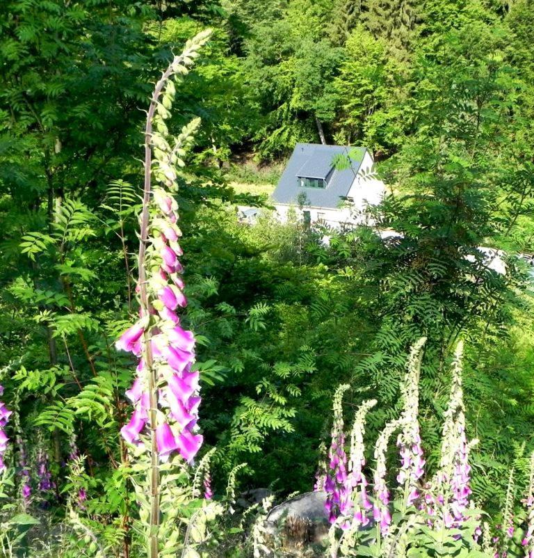 Ferienhaus Buschmuehle - Stolpen Exterior photo